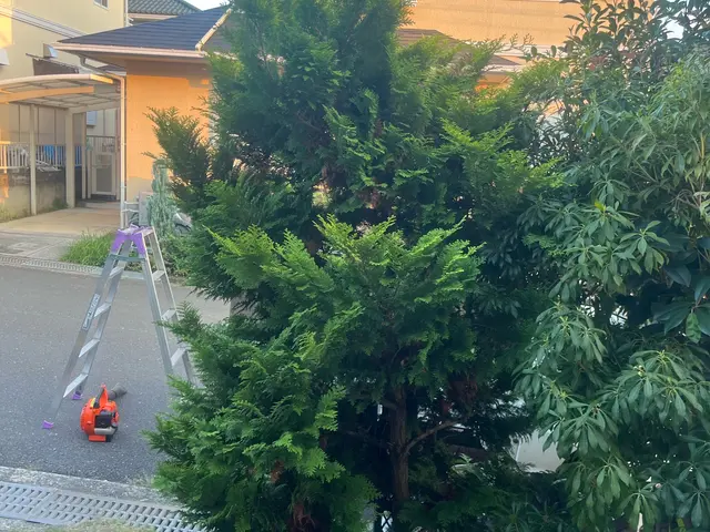 伸び切った庭木の調整しキレイなお庭を再現いたします。サービスの画像