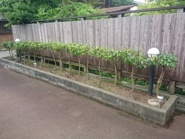 女性スタッフの派遣や同行も可能◎親切・丁寧に対応いたします。サービスの画像