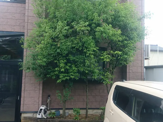 女性スタッフの派遣や同行も可能◎親切・丁寧に対応いたします。サービスの画像