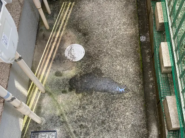 ◇1月・2月は通常12,000円⇨10,000円◇ハウスクリーニング士資格取得◇サービスの画像