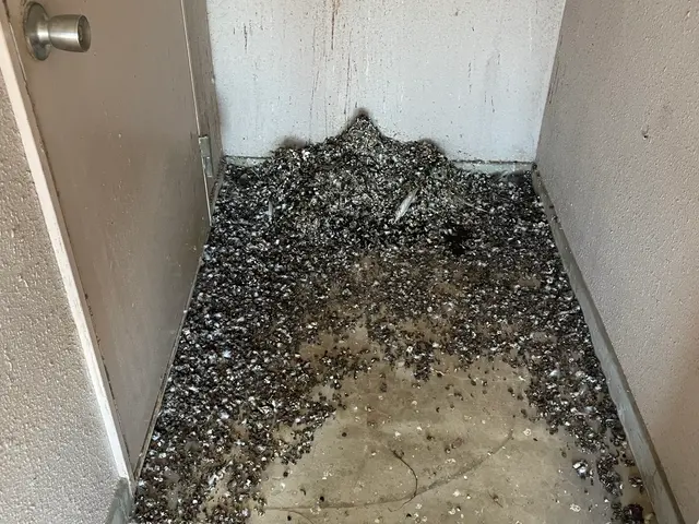 大手経験を活かした店長直接対応！アフターフォロー多数充実の訪問サービスサービスの画像