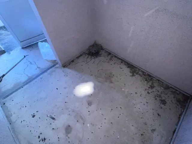 大手経験を活かした店長直接対応！アフターフォロー多数充実の訪問サービスサービスの画像