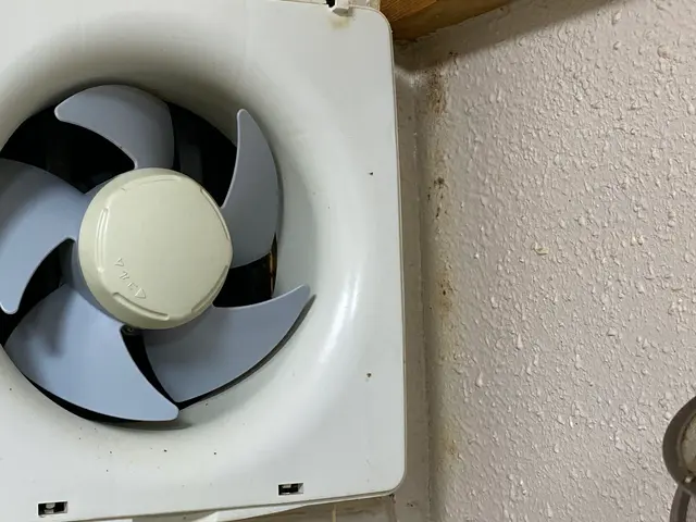 ☆年中無休☆24時間対応☆損害保険加入済み！女性スタッフの同行も可能です！サービスの画像