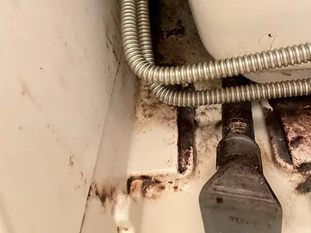 バスルームクリーニングサービスの画像