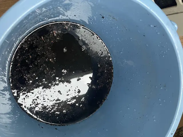 【千葉・東京】累計1000台以上の清掃実績！サービスの画像