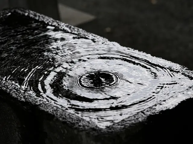 ＜撮影歴30年＞今の形を未来に残そう！料理写真、商品写真もお受けいたします。サービスの画像