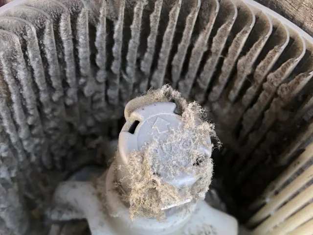 豊富な経験と知識で安心！仕上がり重視で丁寧に作業いたします！サービスの画像