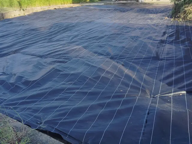 【見積無料】毎年の草むしり・草刈りでお悩みの方！1回の施工で約10年解放されますサービスの画像