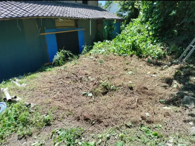 手作業で草むしりいたします！　機械を使えない所の手作業ですサービスの画像