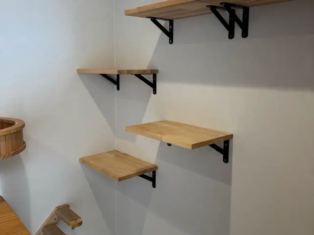 ウォールシェルフ取付はプロにお任せ下さい！キャットウォークも対応！サービスの画像