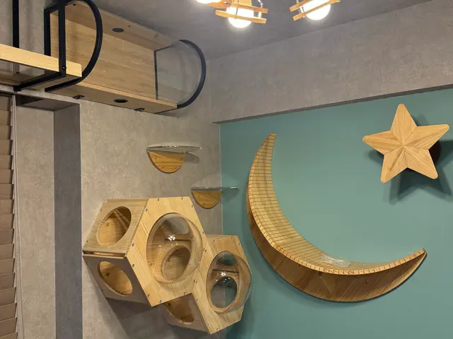 ウォールシェルフ取付はプロにお任せ下さい！キャットウォークも対応！サービスの画像