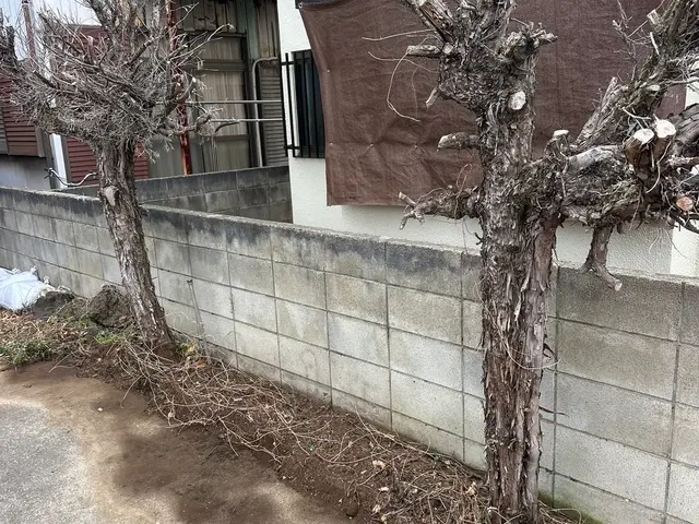 庭木・竹の伐採サービスサービスの画像