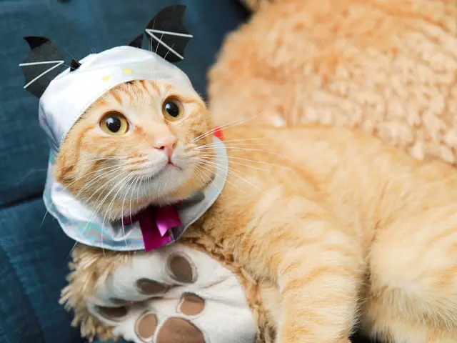 「かわいい今を、まるごと残す。」大切な家族を残すペットの写真撮影☆