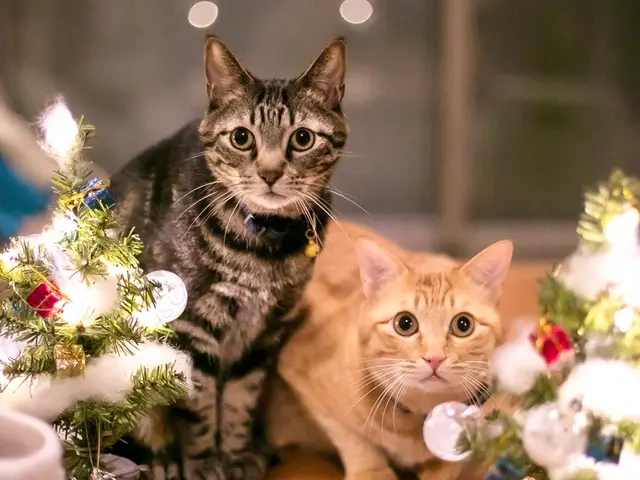 「かわいい今を、まるごと残す。」大切な家族を残すペットの写真撮影☆