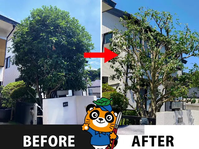 業歴10年・樹木医在籍！思い出の植木を美しく蘇らせます◎お庭のことなら庭クイックサービスの画像