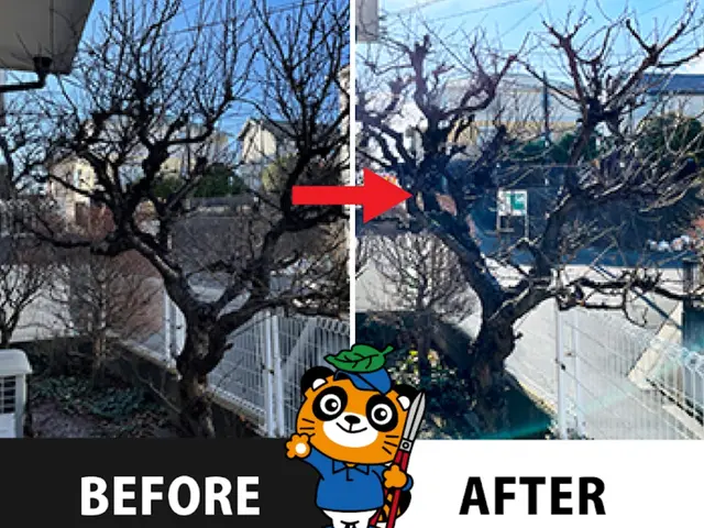 業歴10年・樹木医在籍！思い出の植木を美しく蘇らせます◎お庭のことなら庭クイックサービスの画像