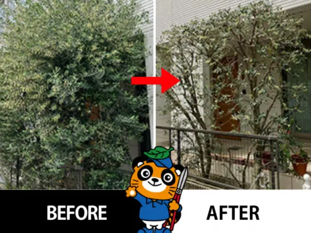業歴10年・樹木医在籍！思い出の植木を美しく蘇らせます◎お庭のことなら庭クイックサービスの画像