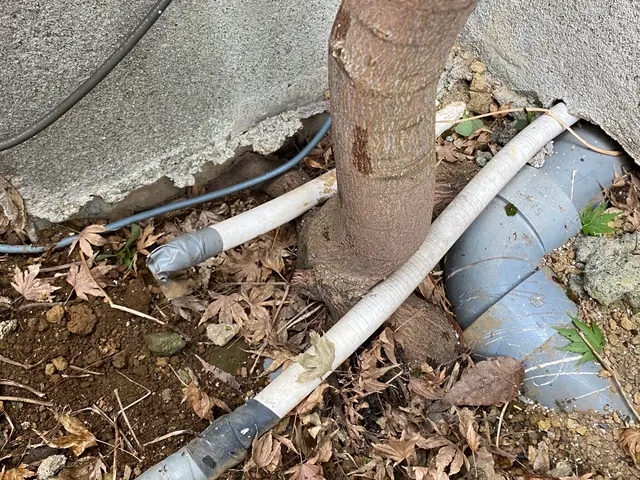 植木の伐採抜根はお任せ下さい！壁際や水道管近くの難所も承ります！サービスの画像