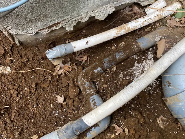 植木の伐採抜根はお任せ下さい！壁際や水道管近くの難所も承ります！サービスの画像