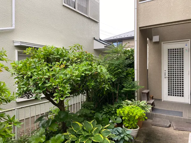 植木の伐採抜根はお任せ下さい！壁際や水道管近くの難所も承ります！サービスの画像