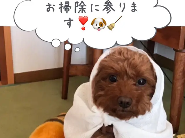 ＜丁寧・迅速対応＞エリア外もご相談可◎ご要望があれば女性スタッフ同行可能！サービスの画像