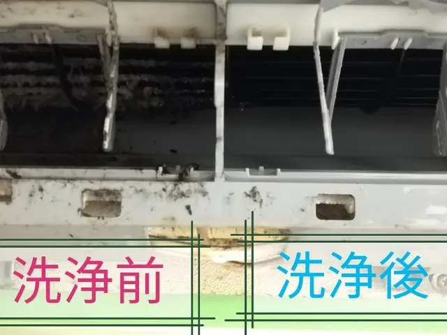 3度洗いでカビ徹底洗浄！2台以上は複数台割引でお安くなります　オフシーズン価格中サービスの画像