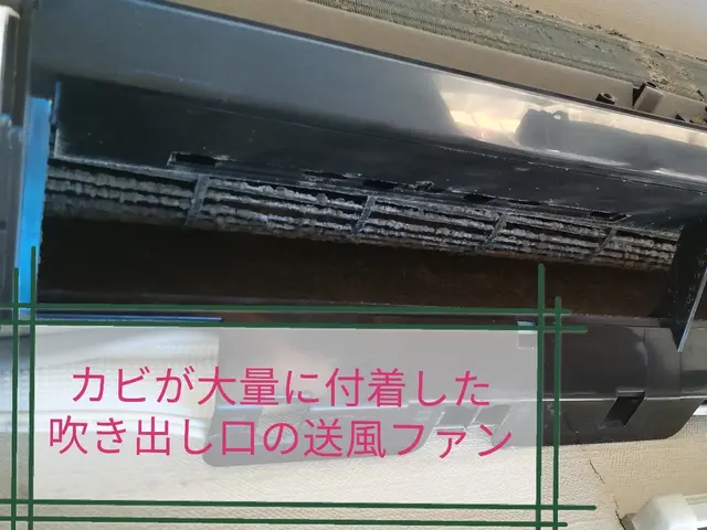 3度洗いでカビ徹底洗浄！2台以上は複数台割引でお安くなります　オフシーズン価格中サービスの画像
