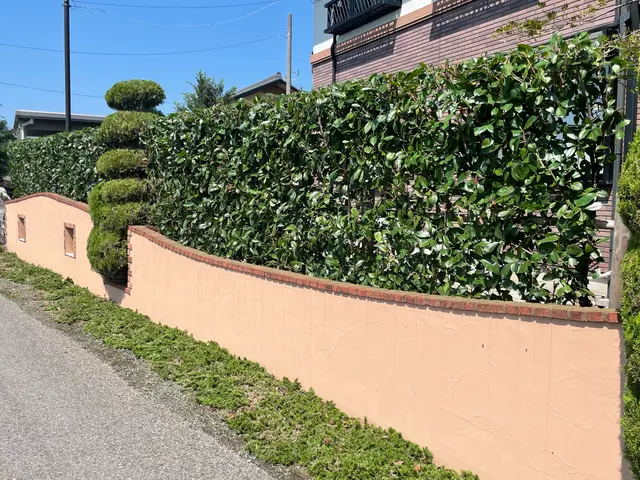 【業歴23年】庭木手入れお任せください☆一級造園技能士◎女性スタッフの同行可！サービスの画像