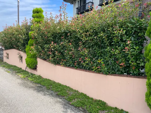 【業歴23年】庭木手入れお任せください☆一級造園技能士◎女性スタッフの同行可！サービスの画像