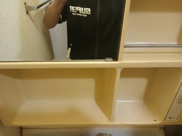 洗面所清掃サービスの画像