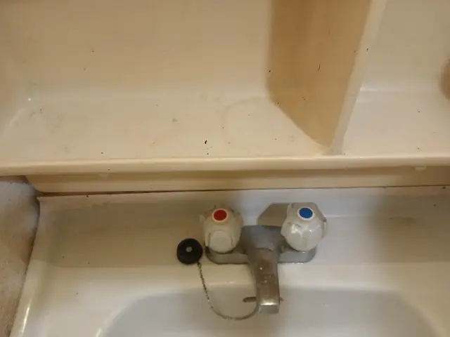 洗面所清掃サービスの画像