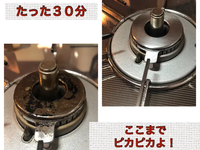 女性スタッフ私一人でお伺いします！わんちゃんねこちゃんいらっしゃるご家庭大歓迎☆サービスの画像