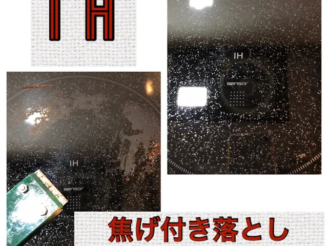 女性スタッフ私一人でお伺いします！わんちゃんねこちゃんいらっしゃるご家庭大歓迎☆サービスの画像