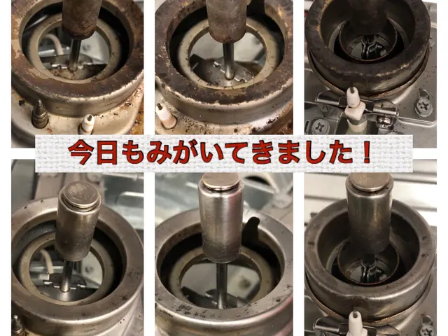 女性スタッフ私一人でお伺いします！わんちゃんねこちゃんいらっしゃるご家庭大歓迎☆サービスの画像