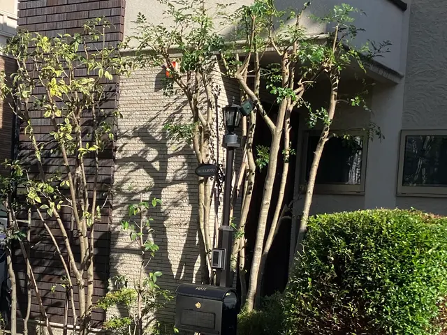 【新規出店限定割引】内閣府や警察からも直接仕事を請負う安心安全の実績！写真見積可サービスの画像