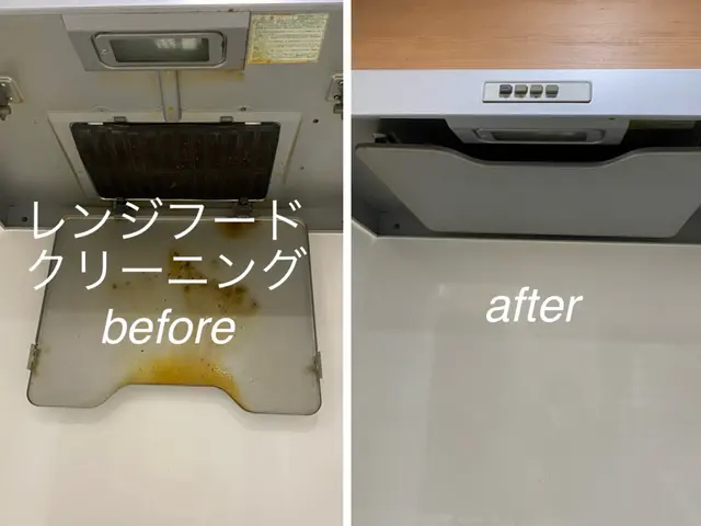 限定特価☆年末の大掃除前に水回りピカピカにします！気になる汚れお任せください！サービスの画像