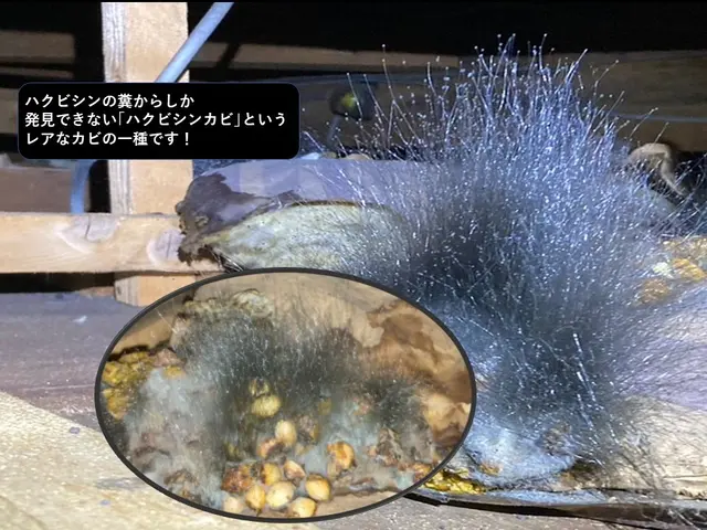 ☆小さなお子様やペットのいるご家庭にも安心、安全な施工☆見積無料☆相見積り歓迎☆サービスの画像