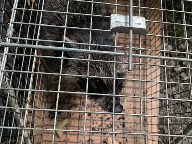 ☆小さなお子様やペットのいるご家庭にも安心、安全な施工☆見積無料☆相見積り歓迎☆サービスの画像