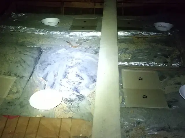 ☆猪名川町商工会所属☆  ◆業界実績15年◆   ※カードOK※サービスの画像