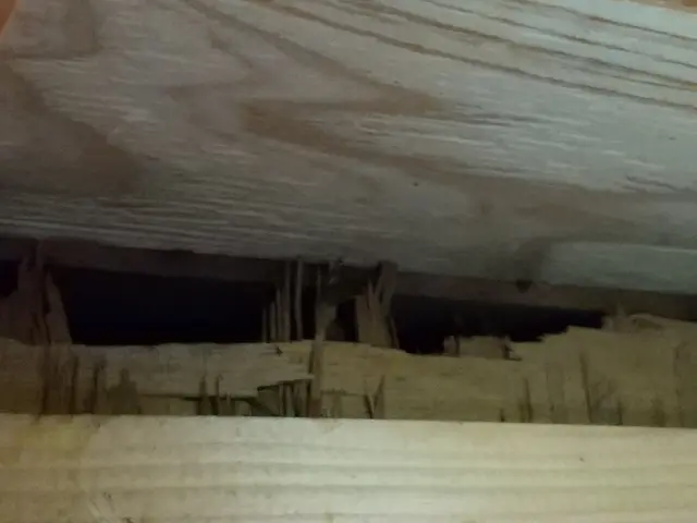 ☆猪名川町商工会所属☆  ◆業界実績15年◆   ※カードOK※サービスの画像