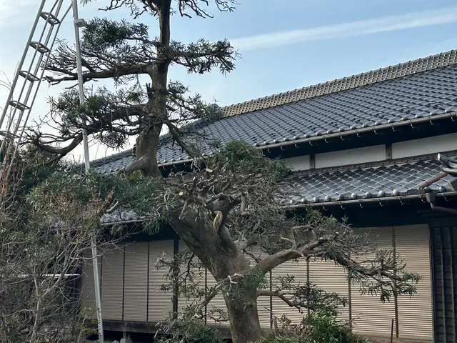 適正価格で丁寧な作業がリピーターを呼ぶ！サービスの画像