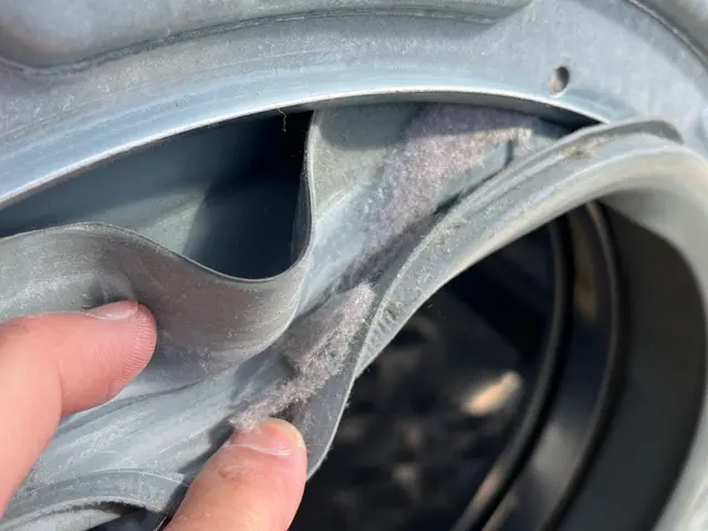 パナソニック専門　ドラム式クリーニングサービスの画像