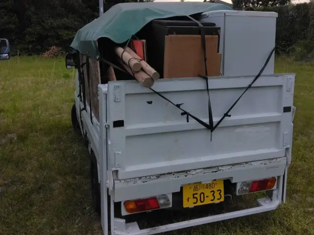 【予約前に質問欄に！】軽トラックにガッツリ載せちゃってください！※希望日別日必須サービスの画像