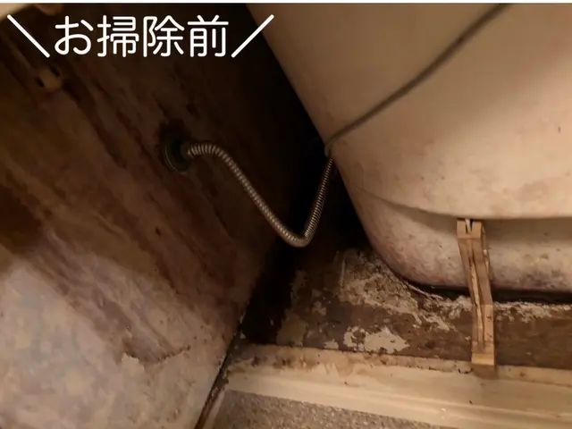 【損害保険加入済み◎】丁寧に作業いたします！気軽にご相談ください☆サービスの画像