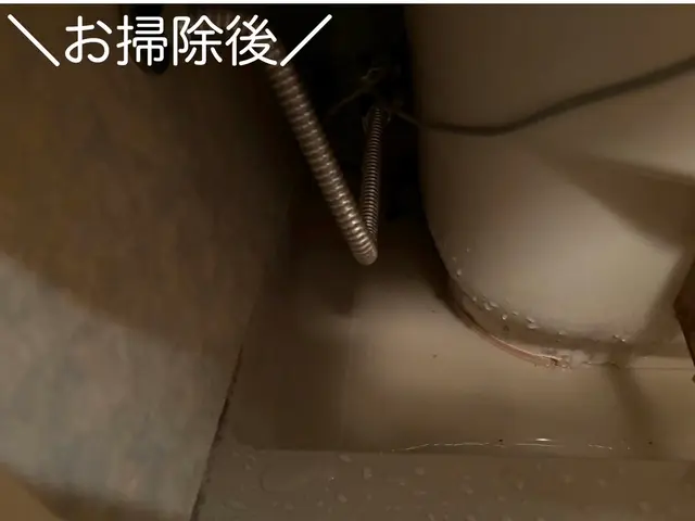 【損害保険加入済み◎】丁寧に作業いたします！気軽にご相談ください☆サービスの画像