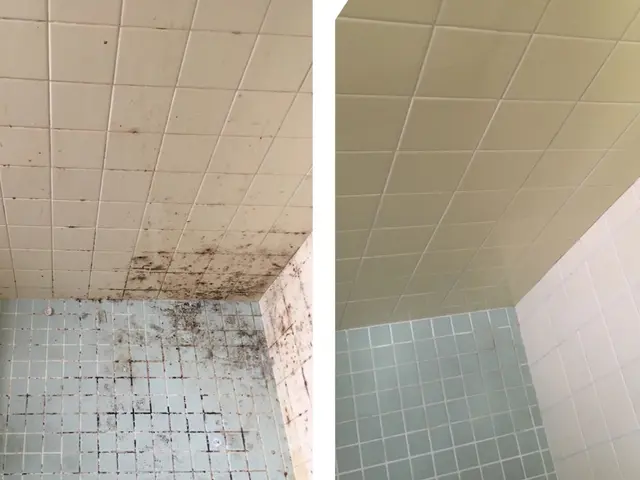 【損害保険加入済み◎】丁寧に作業いたします！気軽にご相談ください☆サービスの画像