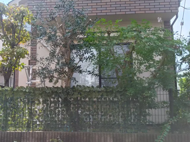 １０年以上の緑豊かな経験! 時間をかけて、お庭を美しく剪定します！サービスの画像