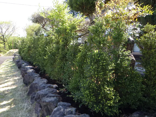 作業外注一切なし！作業にご不満の場合は無料にて追加対応いたします◎サービスの画像