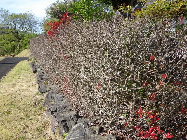 作業外注一切なし！作業にご不満の場合は無料にて追加対応いたします◎サービスの画像