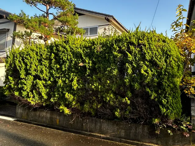 業歴17年の庭園技能士　雪囲いオプション有り！　理想のお庭作りを叶えますサービスの画像